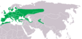 Strix aluco distribution map