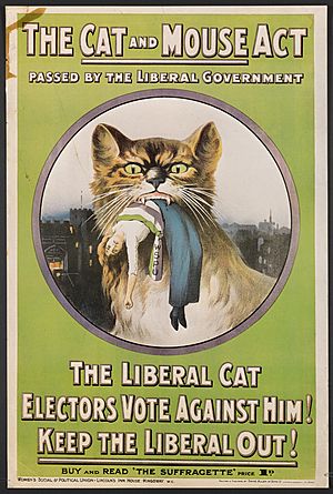 Archivo:The cat and mouse act passed by the Liberal government - buy and read The Suffragette (9555365303)