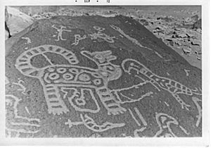 Toro Muerto Petroglyphs, Peru (1972) (457747366).jpg