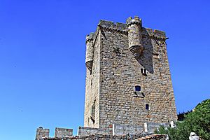 Archivo:Torre del homenaje del castillo de San Felices de Gallegos edited