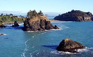 Archivo:Trinidad-ca-state-beach