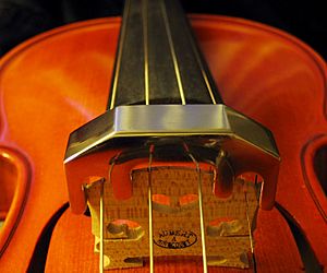 Archivo:Violin metallic mute