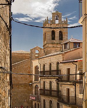 Archivo:Vista de la plaza y la iglesia de Fermoselle (España)