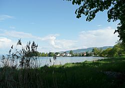 05 Lake Constance.jpg