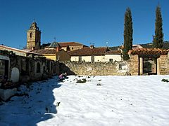 1-Pueblasanmiguel-cementerioViejo (2012)0005 02