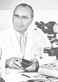 Archivo:1943 Device for micro-cinematography- under the direction of Kurt Michel, the first film on cell division is produced in a Zeiss laboratory with the aid of a phase-contrast microscope (6892933110)