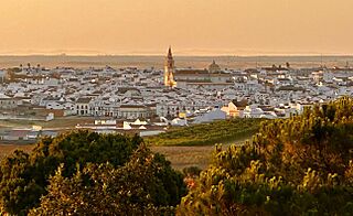 20240706 Moguer nublado.jpg