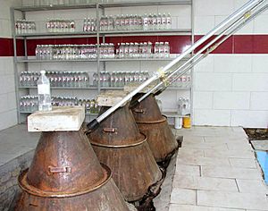 Archivo:A manufactory of rose water in Kashan