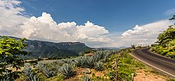 Achio, Amatitán, Jalisco.jpg