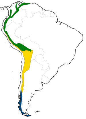 Archivo:Andes clima