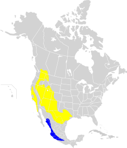 En amarillo la distribución de la especie en época de crianza; en azul su distribución en invierno.