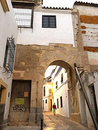 Arco del Portillo.jpg