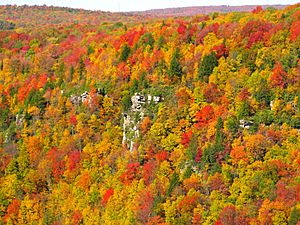 Archivo:Blackwater-canyon-fall-colors - West Virginia - ForestWander