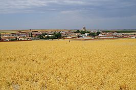 Bobadilla del Campo desde los campos de guisantes.