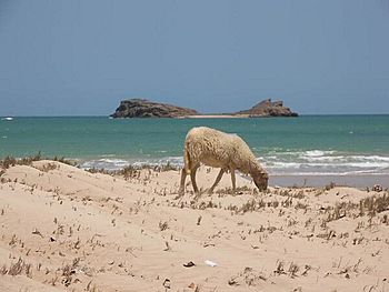 Archivo:Castilletes, parroquia Alta Guajira Estado Zulia, Venezuela