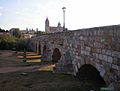 Catedralypuenteromano