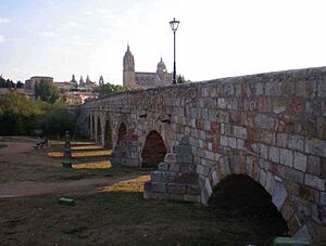 Archivo:Catedralypuenteromano