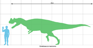 Archivo:Ceratosaurus scale1