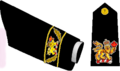 Commander-in-Chief Canada navy insignia