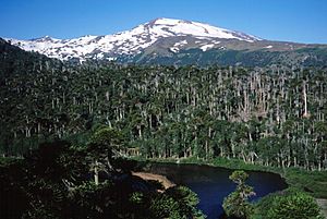 Copahue Volcano.jpg