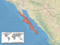 Crotalus enyo distribution