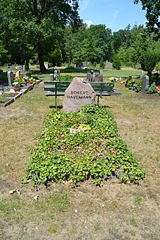 Archivo:D-BB-LOS Waldfriedhof Grünheide 27