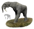 Deinotherium