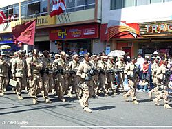 Archivo:Desfile militar del Peru en Tacna