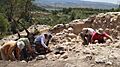 Excavaciones de Altet de Palau