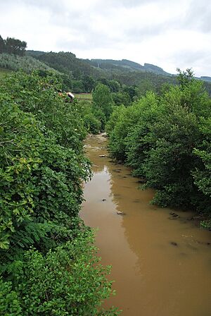 Archivo:Guriezo, Cantabria, Spain - panoramio (18)