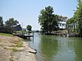 Horseshoe Lake AR 04