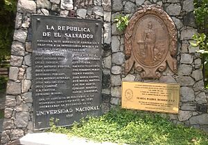 Archivo:Insignias de la UES (b)
