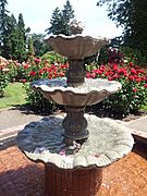 International Rose Test Garden, Portland, Oregon (2013) - 6
