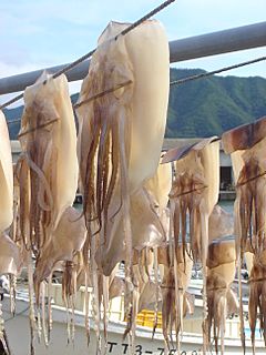Archivo:Iwami squid drying DSC01868