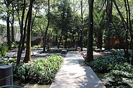 Jardín Sonoro (Fonoteca Nacional) - 7