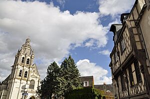 Archivo:Maison de l acrobate blois 01