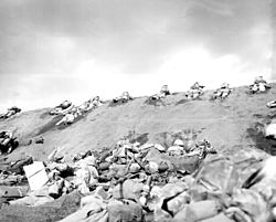 Archivo:Marines on Red Beach - Iwo Jima