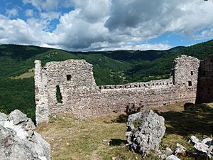 Archivo:Mur Est castell Rocabruna