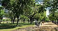 National Mall - walking path