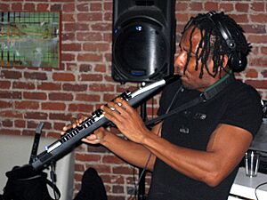 Archivo:Onyx The Digital Pied Piper