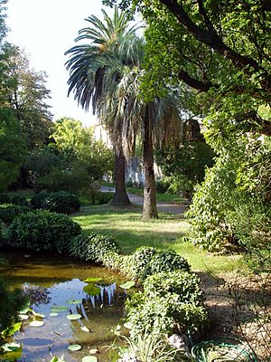 Archivo:Orto botanico di Pisa - general view