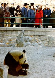 Archivo:PN views panda