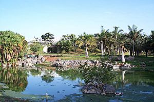 Archivo:Palmetum (Santa Cruz de Tenerife)