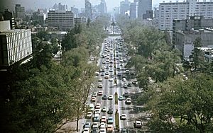 Archivo:Paseo de la Reforma a Függetlenségi emlékmű (Ángel de la Independencia) kilátóteraszáról nézve. Fortepan 73834