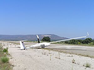 Archivo:Planeador de vuelo sin motor