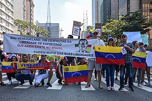Archivo:Protestas oponiéndose a la Revolución Bolivariana en São Paulo, Brasil 12