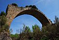 Puente de Mantible DSC 4565