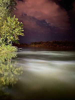 Archivo:Río Limay, Plottier