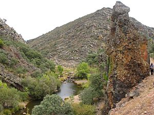 Archivo:Ruta del Boquerón - Navas de Estena "Montes de Toledo" (251731931)