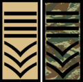 SSMNB